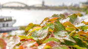 Herbst - Hundertmark Fotografie