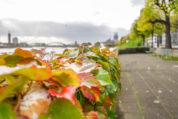 Herbst - Hundertmark Fotografie