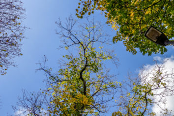 Herbst - Hundertmark Fotografie