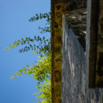 Alte Festungsmauern rund um dem Rosengarten