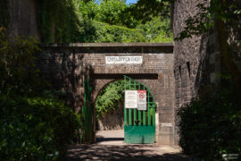 Rosengarten Köln