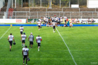 football-cologne-crocodiles_fotografie-hundertmark-2970