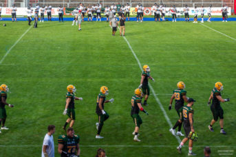 football-cologne-crocodiles_fotografie-hundertmark-2994