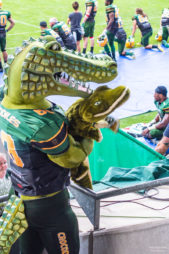 football-cologne-crocodiles_fotografie-hundertmark-3036