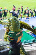 football-cologne-crocodiles_fotografie-hundertmark-3038