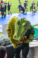 football-cologne-crocodiles_fotografie-hundertmark-3040