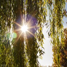 herbst-2018_fotografie-nicole-hundertmark-7613