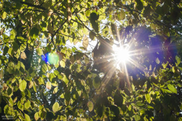 herbst-2018_fotografie-nicole-hundertmark-7629