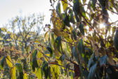 herbst-2018_fotografie-nicole-hundertmark-7667