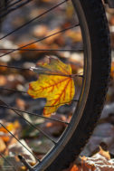 herbst-2018_fotografie-nicole-hundertmark-7746