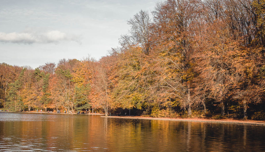 Herbst in Köln