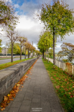 Fußgängerweg im Herbst - Hundertmark Fotografie Fußgängerweg im Herbst - Hundertmark Fotografie