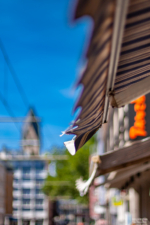 Flirrende Hitze in Köln Flirrende Hitze in Köln