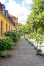 Im Schlossgarten Charlottenburg