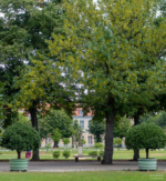 Im Schlossgarten Charlottenburg