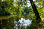 Gewässer im Schlossgarten Charlottenburg
