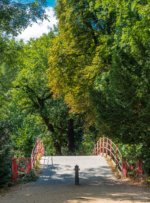 Brücke im Schlossgarten Charlottenburg