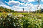 Blumenbeet vor dem Schloss Charlottenburg