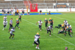 Spiel: Cologne Crocodiles - Berlin Rebels