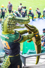 Crocodile Maskottchen Sammy sorgt für Stimmung auf der Tribune
