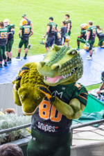 Crocodile Maskottchen Sammy sorgt für Stimmung auf der Tribune