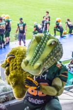 Crocodile Maskottchen Sammy sorgt für Stimmung auf der Tribune