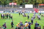 Spiel: Cologne Crocodiles - Berlin Rebels