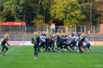 Spiel: Cologne Crocodiles - Berlin Rebels