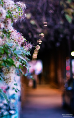 Kölner Stadtlichter Kölner Stadtlichter