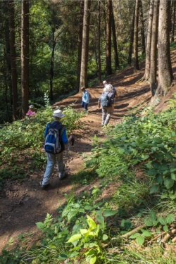 Wanderung Kölner Eifelverein