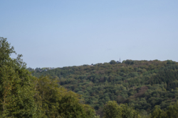 Blick über Waldgebiet