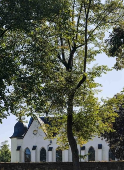 Pfarramt St. Nikolaus