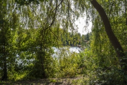 Höhenfelder See, Köln-Dellbrück