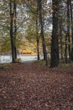 Laubweg zum See