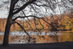 Herbst am See