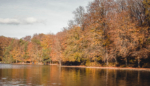 Herbst in Köln
