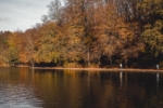 Bunte Bäume an Seeufer