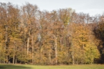 Herbstliche Farben