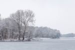 Winterlicher Stadtwald mit vereistem Decksteiner Weiher