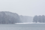 Diesiger, verschneiter Tag im Stadtwald am Decksteiner Weiher