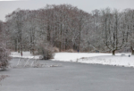 Vereister Weiher mit eingefrorenen Ästen, im Hintergrund verschneite Bäume und Spaziergänger