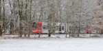 Straßenbahn hinter verschneiten Bäumen