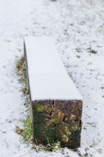 Viereckiger Baumstamm mit Schneedecke