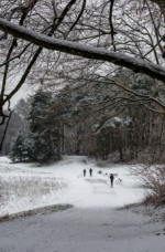 Kölner Winterlandschaft mit Jogger