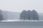 Es schneit in Köln und der Stadtwald wird immer weißer