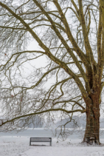 Verschneite Sitzbank am Decksteiner Weiher