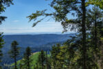 Ausblick über den Schwarzwald, im Hintergrund sieht man die schneebedeckten Berge